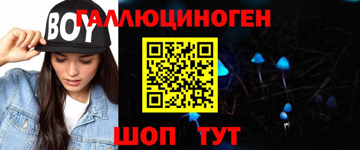 Кунгур  сколько стоит  Вход с VPN  Псилоцибиновые грибы Psilocybe 